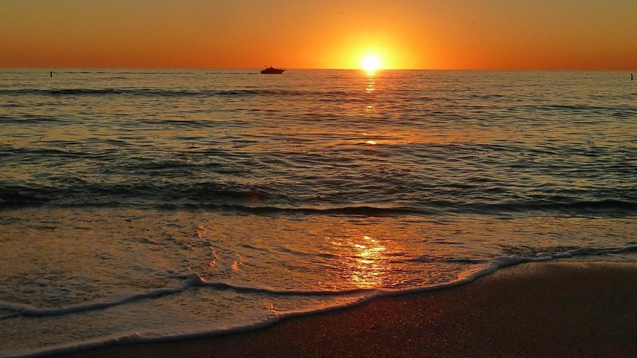Coconut Paradise St. Pete Beach Buitenkant foto