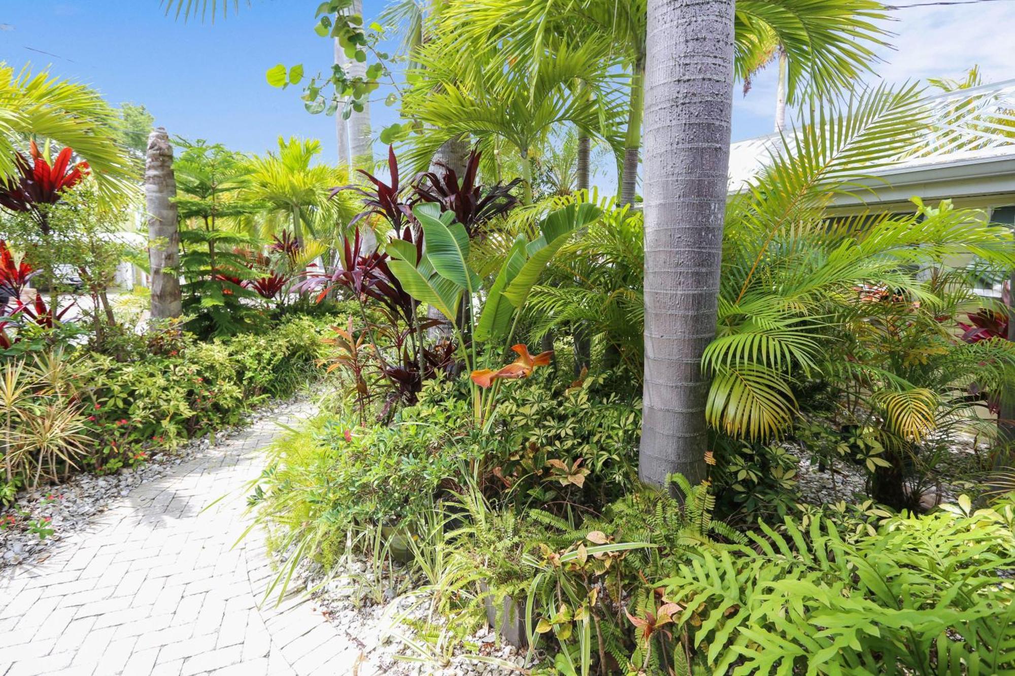 Coconut Paradise St. Pete Beach Buitenkant foto